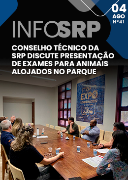 INFO SRP - Nº41
